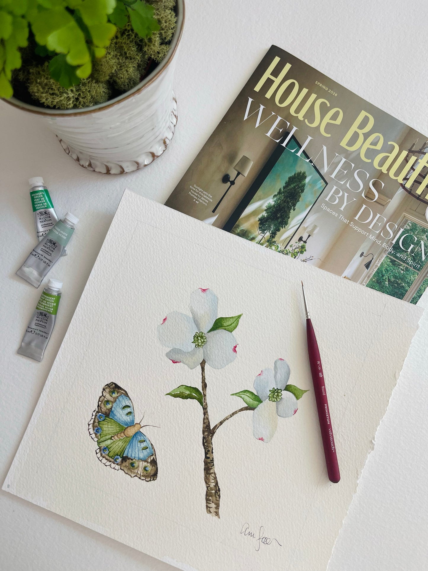 Botanical & Butterfly Study No. 4