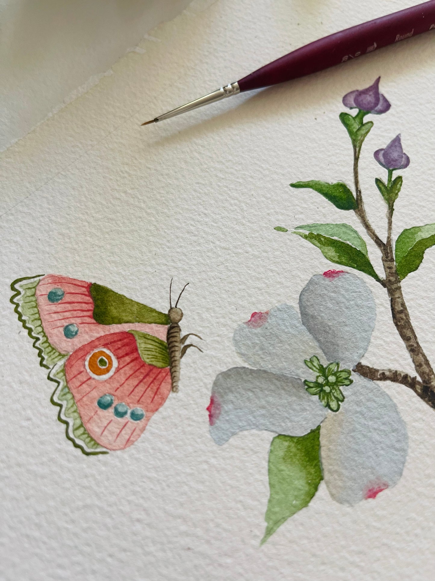 Botanical & Butterfly Study No. 1