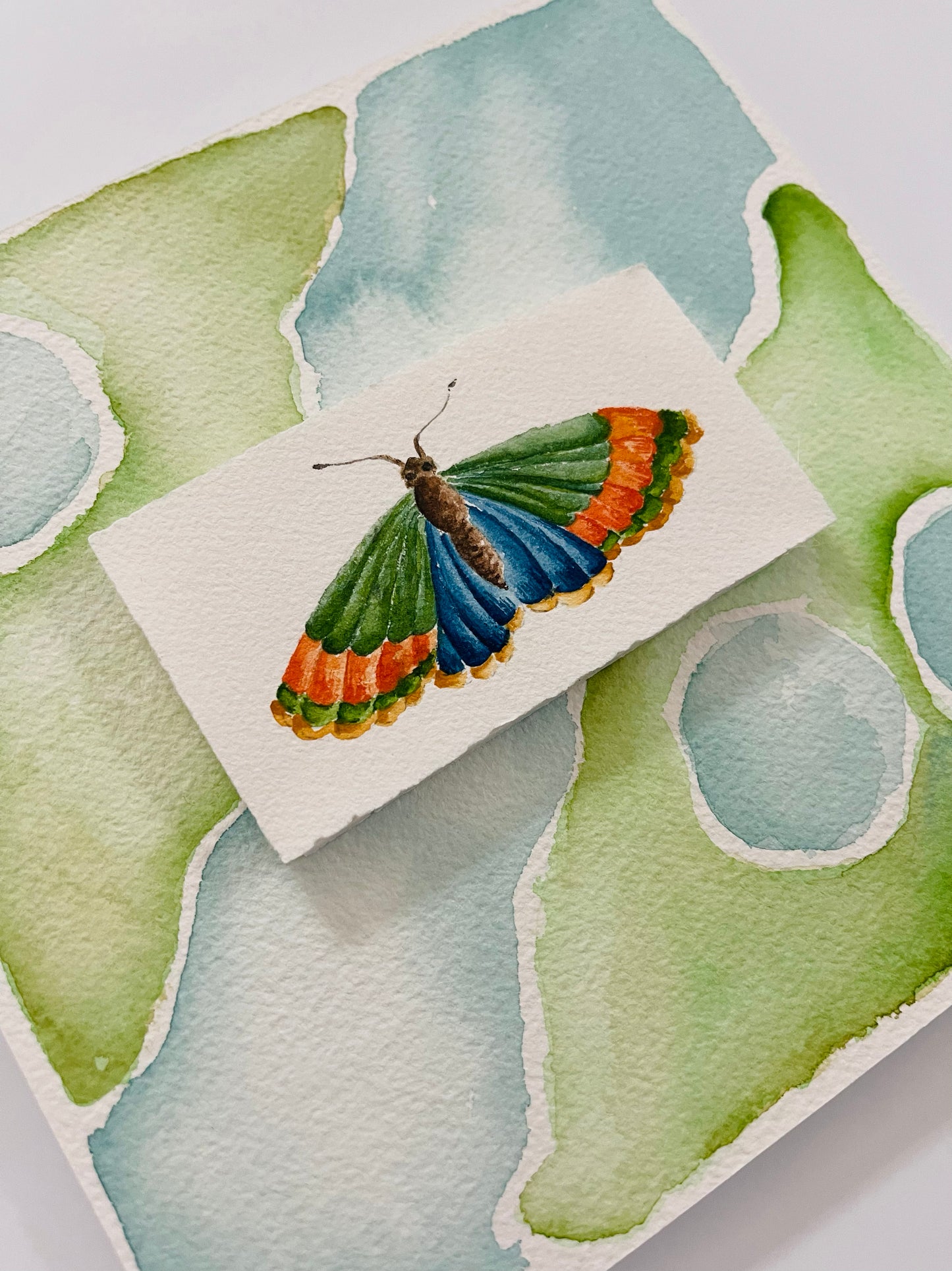 Watercolor, Cool I, Butterfly