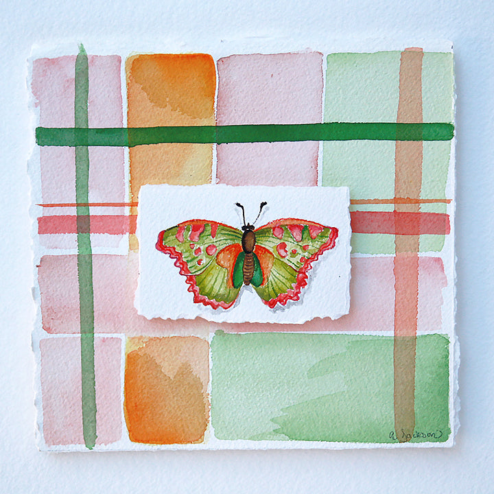 Plaid Butterfly l