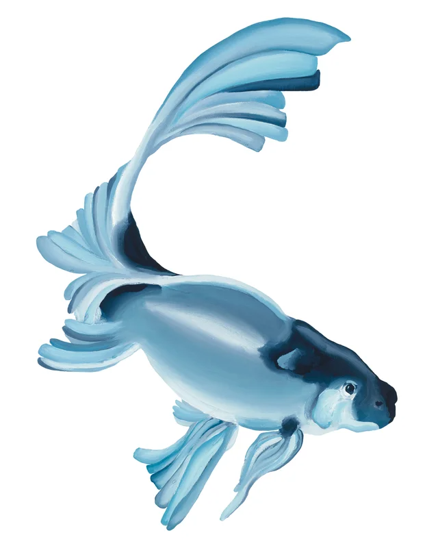 Fish I