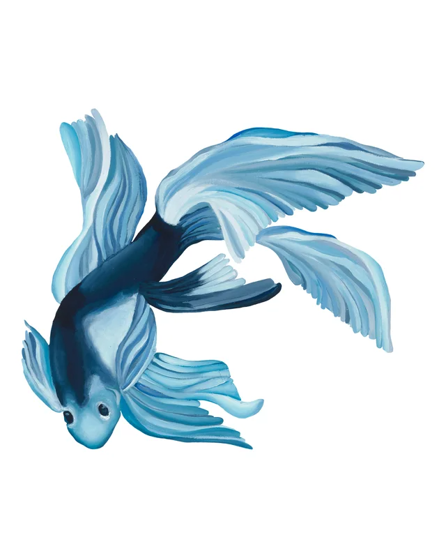 Fish VI