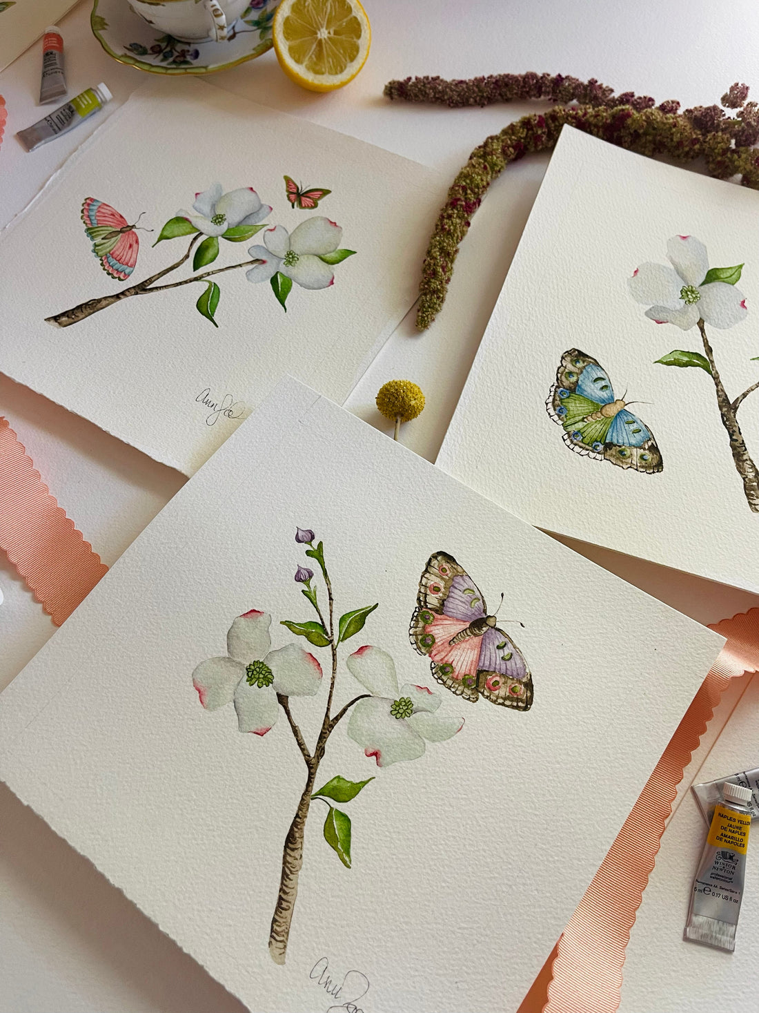 Why Botanicals & Butterflies?