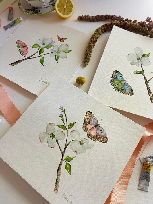 Why Botanicals & Butterflies?
