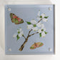 Botanical Butterfly Block - No. 3