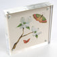 Botcanical Butterfly Block - No. 2