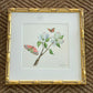 Botanical & Butterfly Study No. 3
