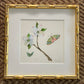 Botanical & Butterfly Study No. 5
