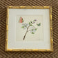 Botanical & Butterfly Study No. 1