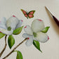 Botanical & Butterfly Study No. 3