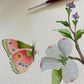 Botanical & Butterfly Study No. 1