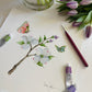Botanical & Butterfly Study No. 1