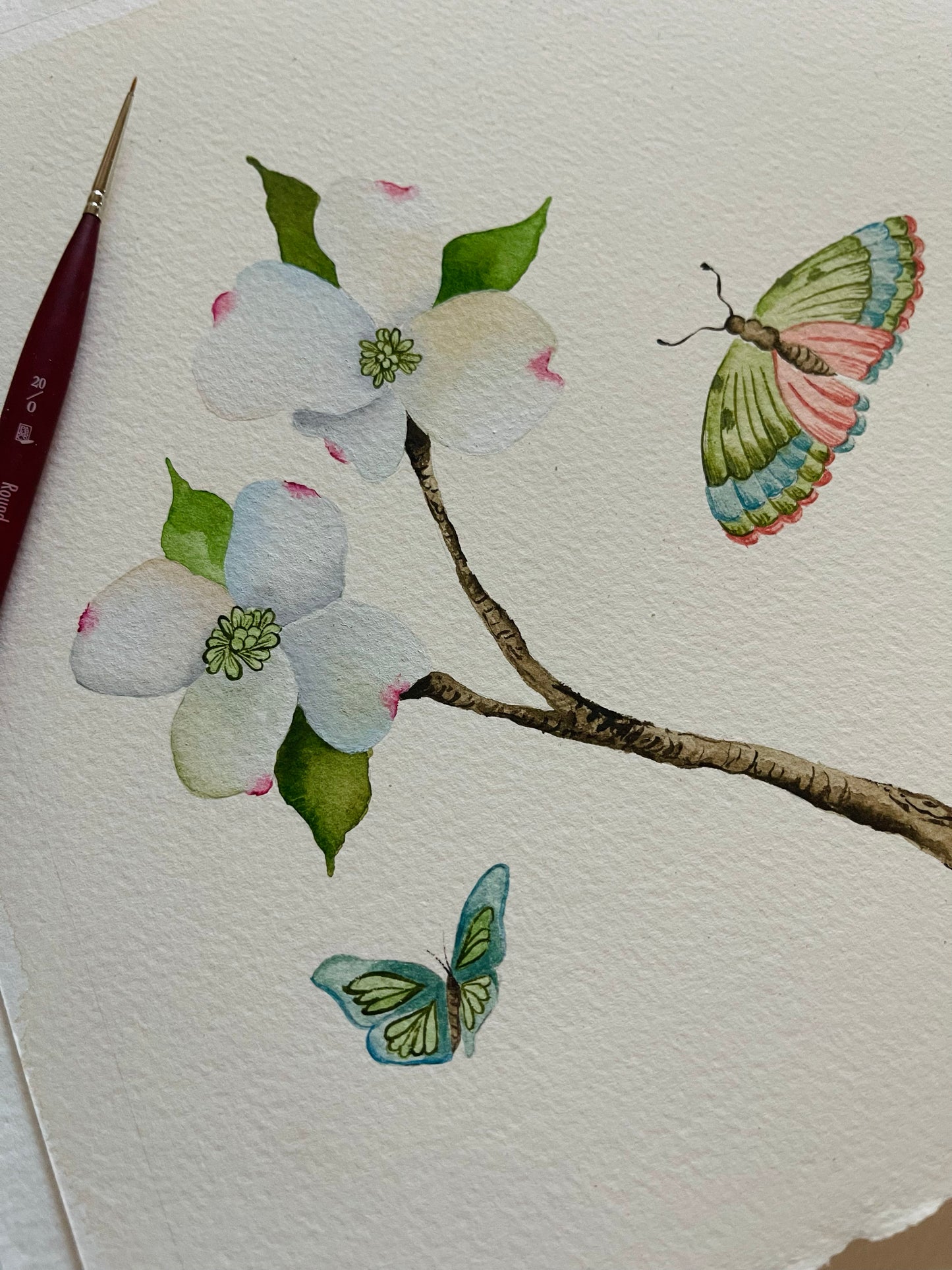 Botanical & Butterfly Study No. 5