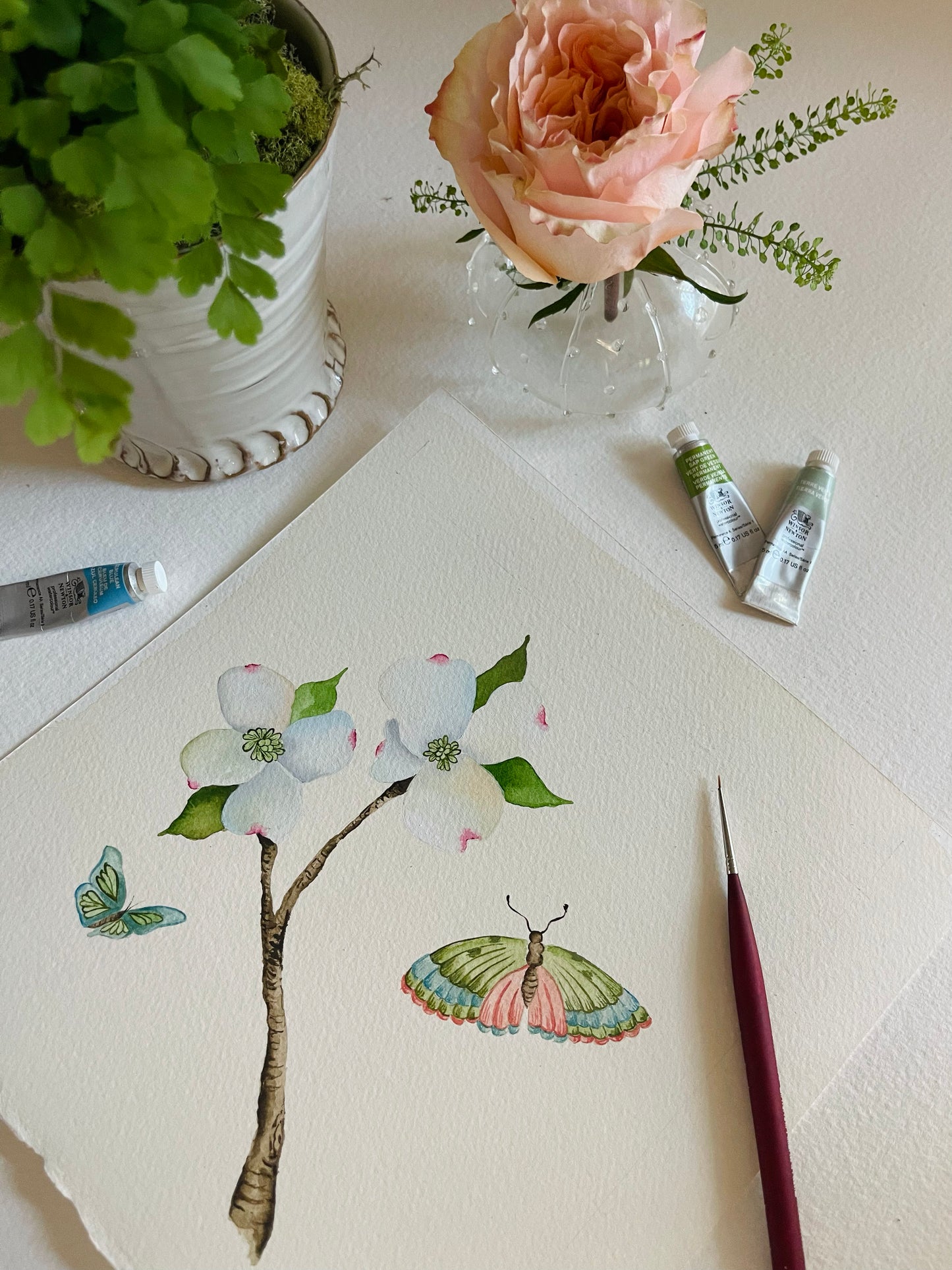 Botanical & Butterfly Study No. 5