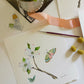 Botanical & Butterfly Study No. 5
