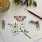 Botanical & Butterfly Study No. 6