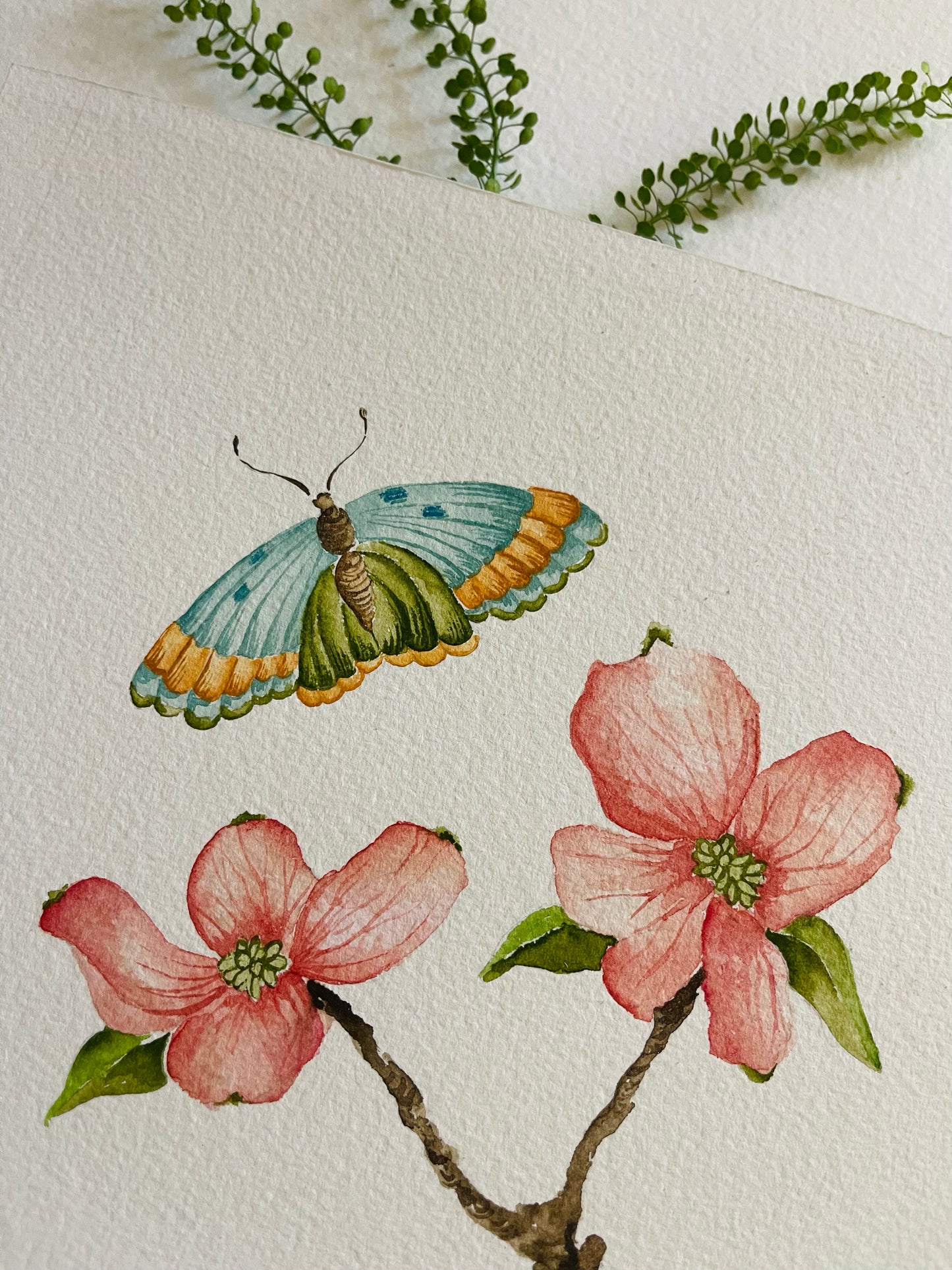 Botanical & Butterfly Study No. 8