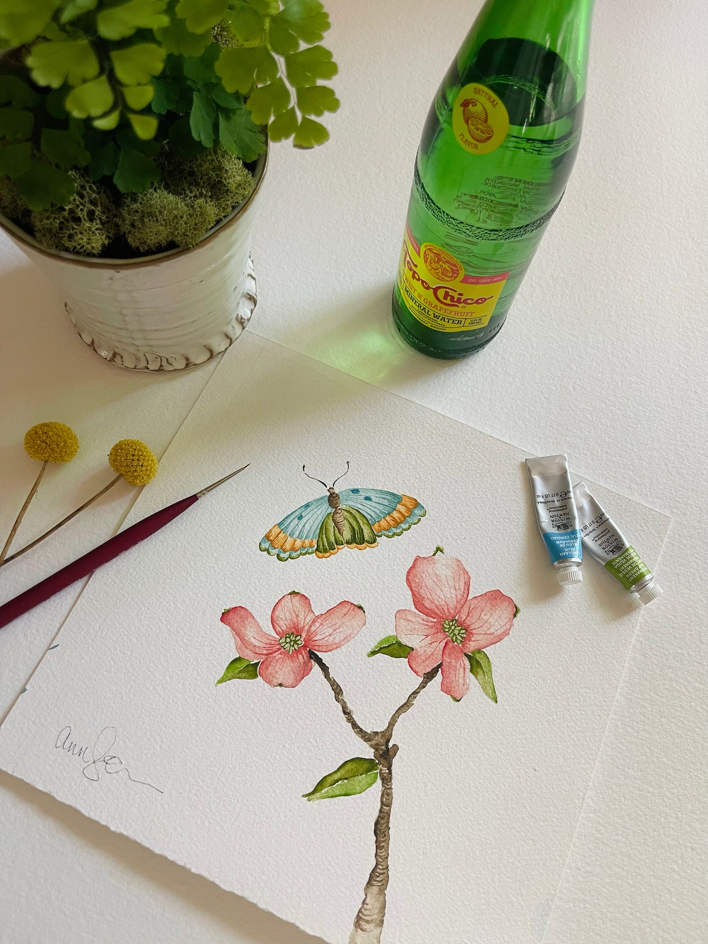 Botanical & Butterfly Study No. 8