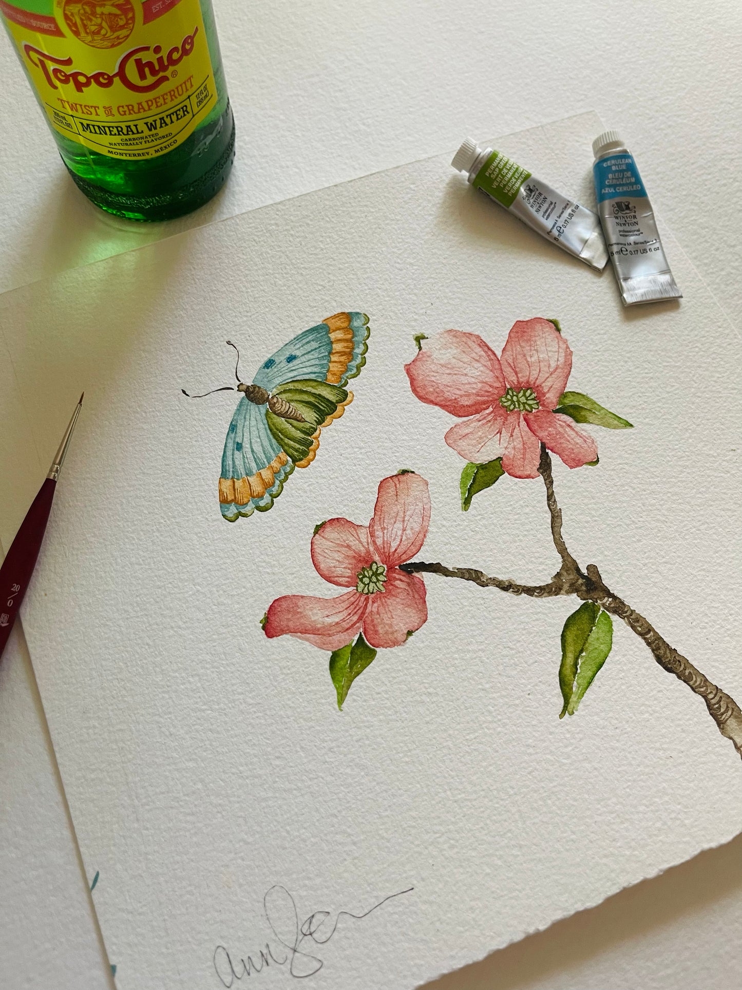 Botanical & Butterfly Study No. 8