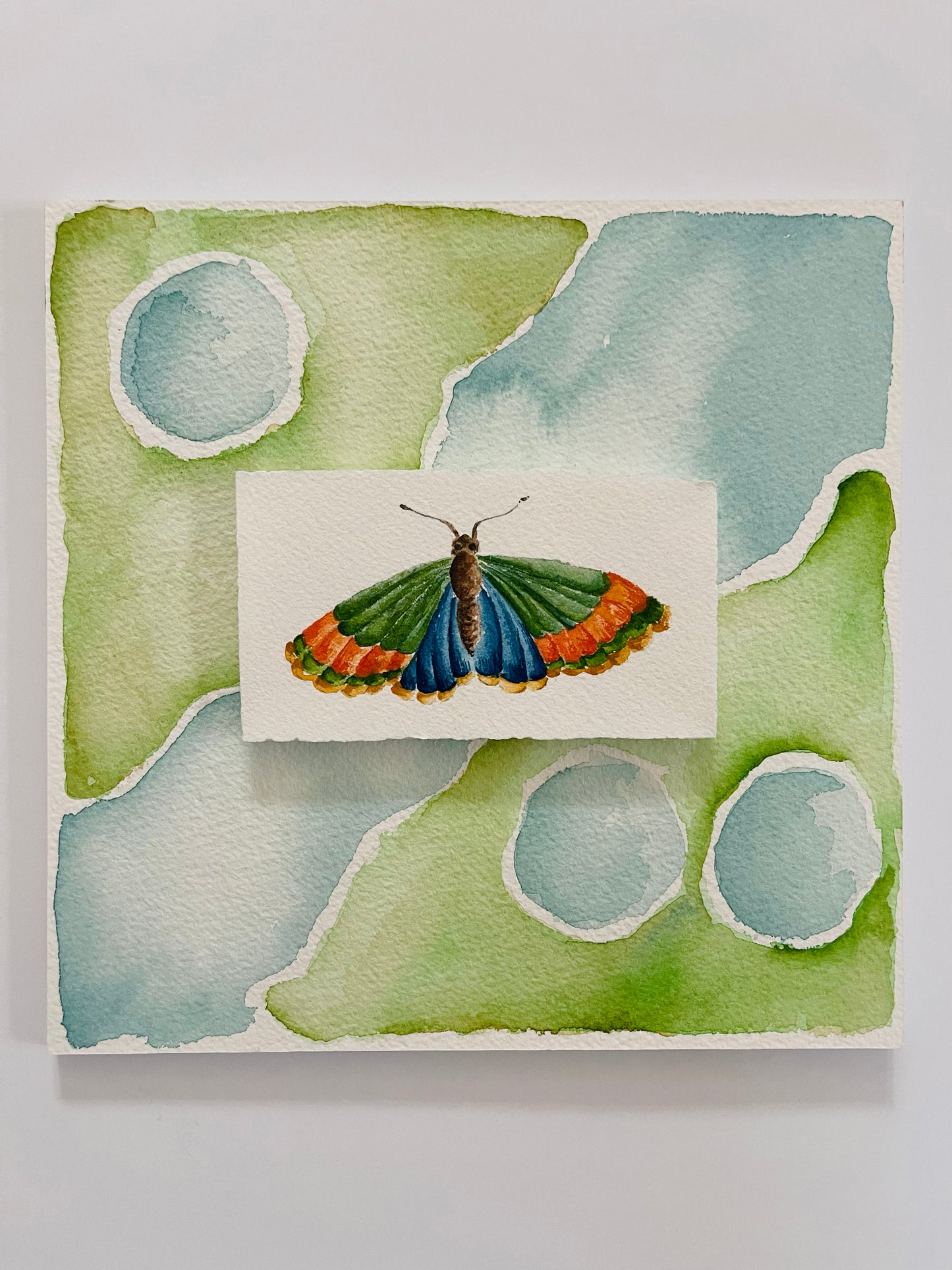 Watercolor, Cool I, Butterfly