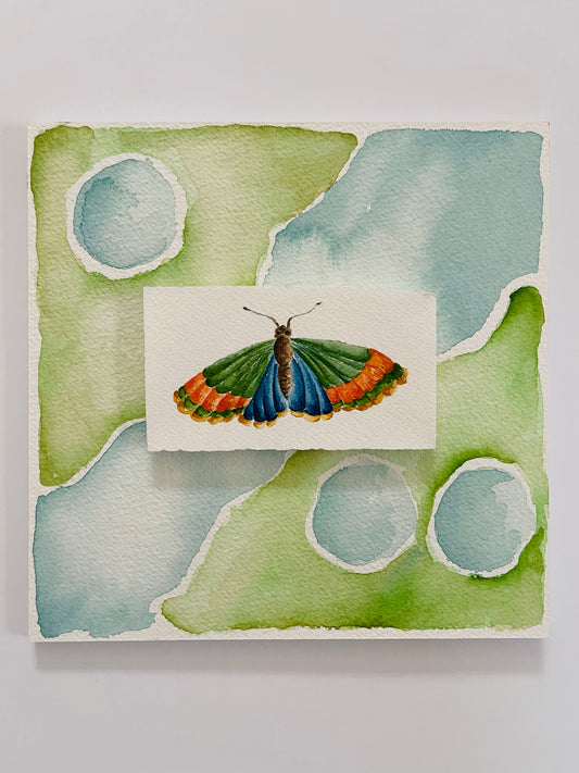 Watercolor, Cool I, Butterfly