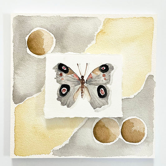 Watercolor Butterfly in Neutral Colors