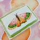 Watercolor, Warm, Butterfly