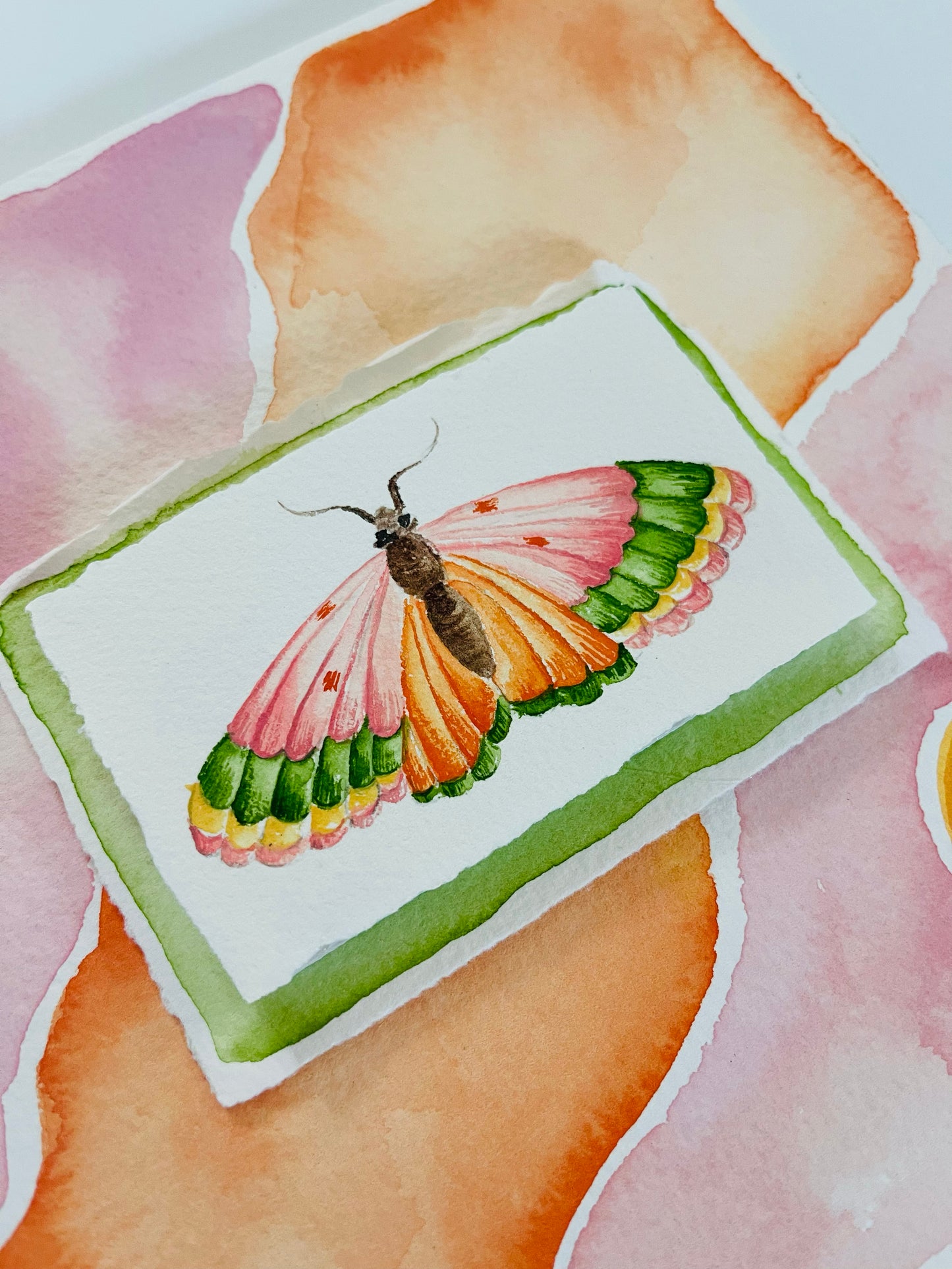 Watercolor, Warm, Butterfly