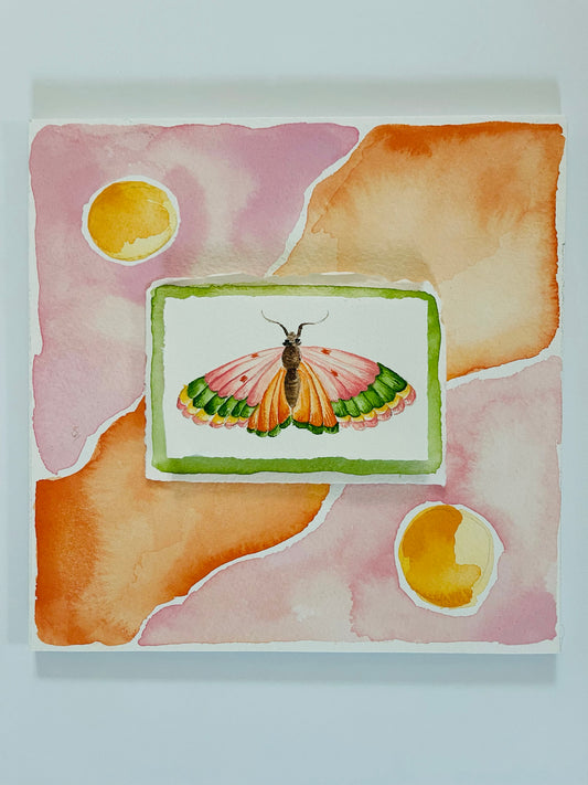 Watercolor, Warm, Butterfly