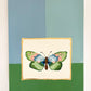 Butterfly in Blue and Green | Oil on Wood Panel